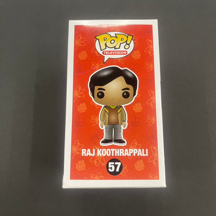 Raj Koothrappali #57 Funko Pop! Television The Big Bang Theory