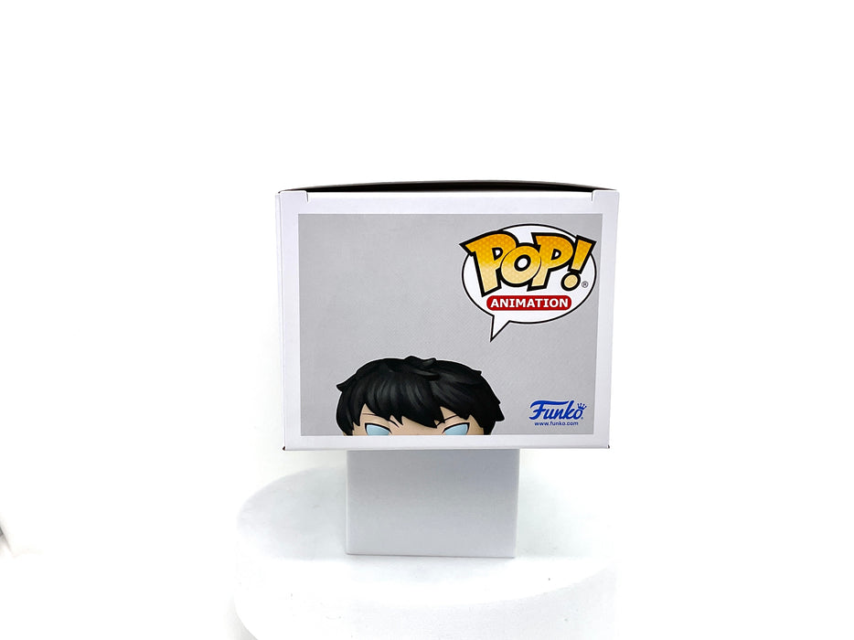 Solo Leveling Sung Jinwoo Funko Pop! Vinyl Figure #1982