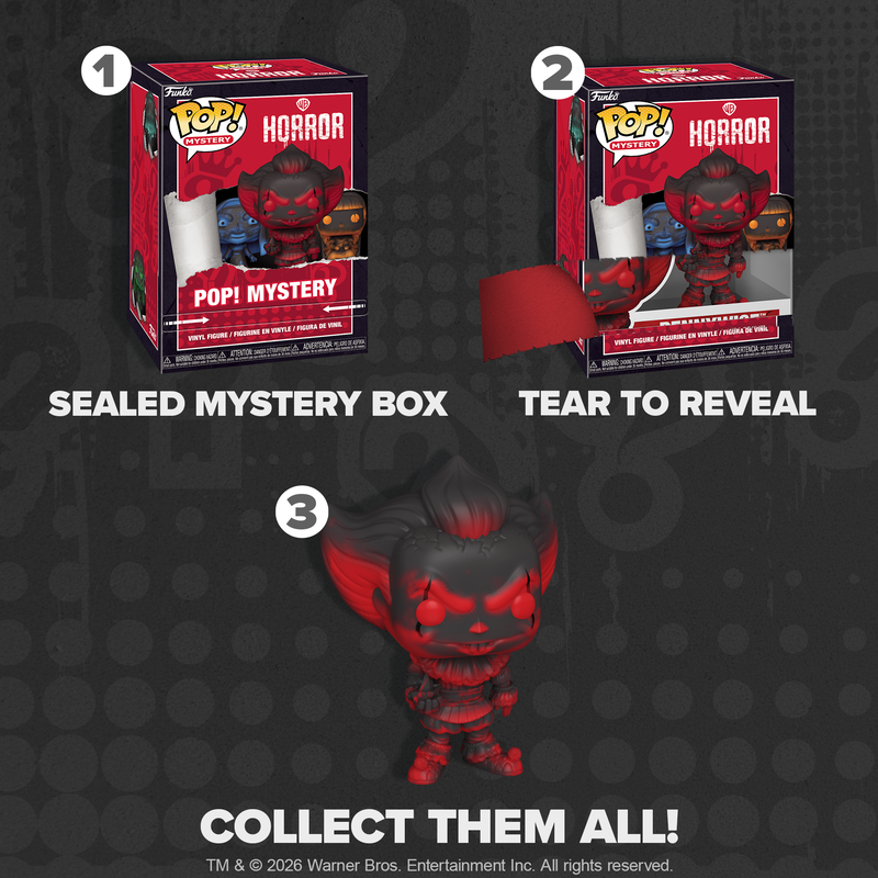 Warner Bros Horror Funko POP! Mystery (Sealed Random Item)